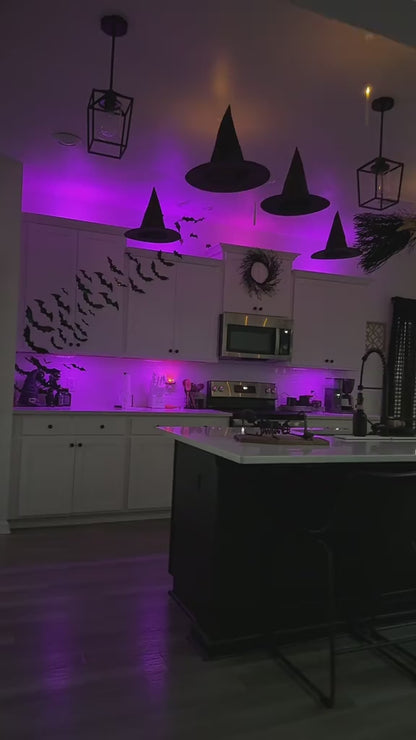 Floating Halloween Wizard Hats